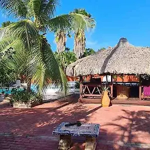 Woodstock Palmresort Curacao Bed and breakfast